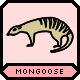 A mongoose.