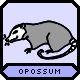 A opossum.